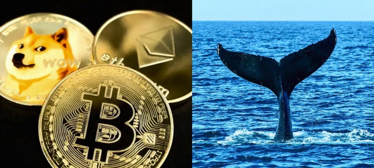 Whale 0x152e Deploys $21M Across Three Assets