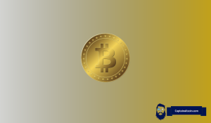 Bitcoin Price Dips as Whales Continue Accumulating