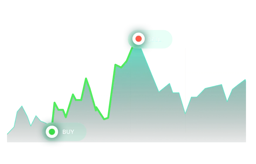 SwingMax Portfolio
